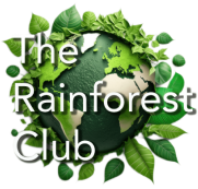 The Rainforest Club