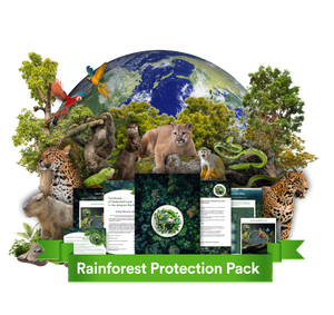 Amazon Rainforest Land Protection Pack