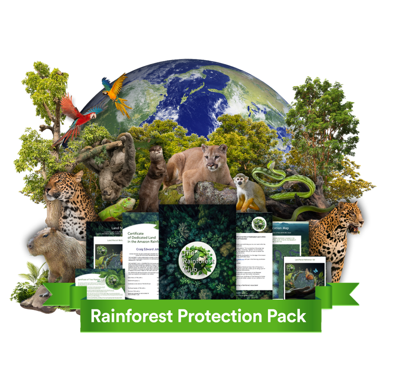 Amazon Rainforest Land Protection Pack